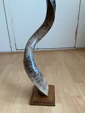 Exquiste kudu horn for sale  LONDON