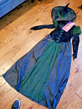 Wizard wicked witch for sale  Houston