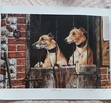 greyhound dog for sale  LONDON