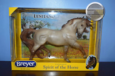 Lusitano esprit mold for sale  New Ross
