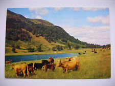Newtonmore postcard highland for sale  FALKIRK