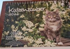 Katzenzauber din wandkalender gebraucht kaufen  Waldkraiburg