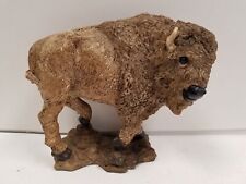 Western bison buffalo for sale  Appleton
