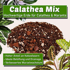 Calathea mix erde gebraucht kaufen  Hessisch Oldendorf