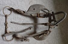 Antique horse bridle for sale  Stafford