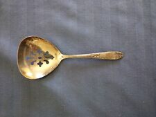 Vintage absinthe spoon for sale  Crawford