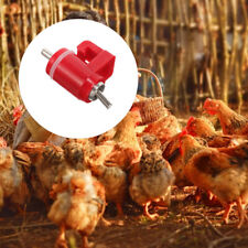 10pcs automatic chicken for sale  Shipping to Ireland