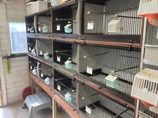 breeding cages for sale  MANCHESTER