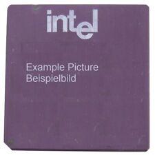 Intel i486DX2-66 A80486DX2-66 SX807 66Mhz Sockel/Socket PGA168 CPU Processor comprar usado  Enviando para Brazil