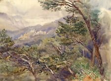 Roquebrun orb valley for sale  TROWBRIDGE