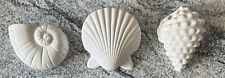 Shell wall decor for sale  North Port
