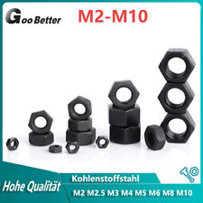 Sechskantmuttern DIN 934 Mutter Stärke 12.9 Schwarz M2 M2.5 M3 M4 M5 M6 M8 M10 comprar usado  Enviando para Brazil