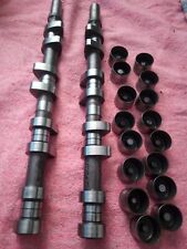 Cosworth yb NEWMAN CAMS bd16+ camshafts solid lifters for sale  Shipping to South Africa