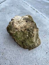 Large pumice stone for sale  Bend