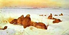 .partridge. bleak midwinter. for sale  NELSON