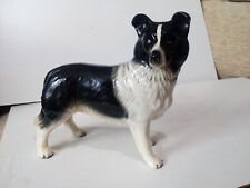 Border collie dog for sale  SHREWSBURY