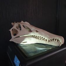 Spinosaurus dinosaur large for sale  SHREWSBURY