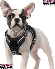 Rabbitgoo dog harness for sale  BRADFORD