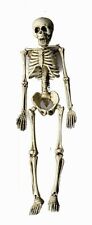 Carnevale halloween scheletro usato  Roma