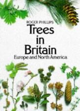 Trees britain north for sale  UK