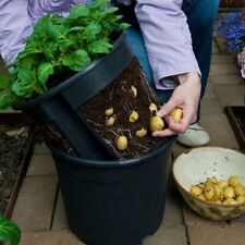 Potatopot kartoffel pflanztopf gebraucht kaufen  Aurich
