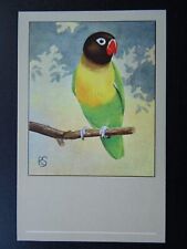Bird Theme MASKED LOVEBIRD c1950s Postcard by P. Sluis Series 5 No.53, used for sale  Shipping to South Africa
