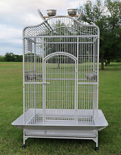 Parrot open play for sale  Pomona