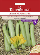 Zucchini alfresco saatgut gebraucht kaufen  Pulheim