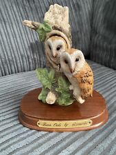 Barn owls leonardo for sale  SOUTHAMPTON