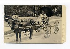 Tia Betsy dirigindo carrinho de quatro rodas, fazendeiro, cartão postal Raleigh NC, personagem local comprar usado  Enviando para Brazil