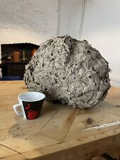 Real wasp nest for sale  FROME