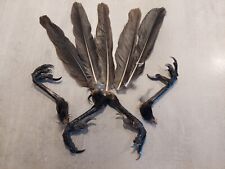 Crow feet feathers for sale  WALSALL