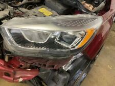 Driver headlight halogen for sale  Knoxville