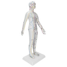 Teaching acupuncture meridians for sale  UK