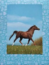 Alte pferdepostkarte araber gebraucht kaufen  Borna