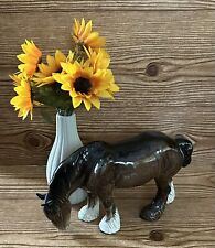 Beswick horse grazing for sale  Land O Lakes