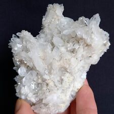 O66 splendide quartz usato  Italia