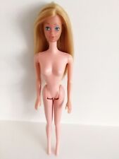 Bastelware barbie european gebraucht kaufen  Deutschland