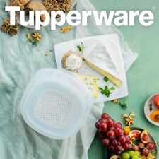 Tupperware cheesmart contenito usato  Spedire a Italy