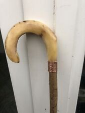 Rams horn walking for sale  CHESTER LE STREET