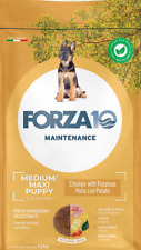 Forza puppy medium usato  Como