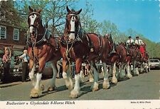 Cartão postal antigo 6x4 Budweiser Brewery Williamsburg VA publicidade engate de cavalo comprar usado  Enviando para Brazil