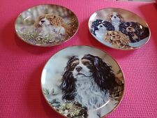 cavalier king charles plates for sale  DUNFERMLINE