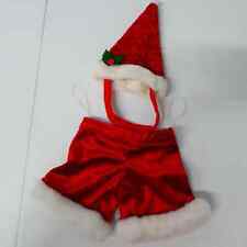 Santa pet outfit for sale  Houston
