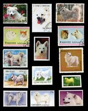 Samoyed white spitz for sale  Shipping to Ireland