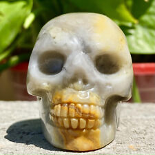 105G Natural Amazon stone Quartz Skull Crystal Carved Skull reiki decoration for sale  Shipping to Canada
