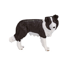 .mojo border collie for sale  Shipping to Ireland