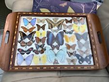 Vintage brazilian butterfly for sale  DERBY