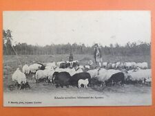 Moors shepherd stile d'occasion  Expédié en Belgium