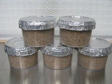 5x Kit de vaso de cultivo de substrato de cogumelo ostra Magic Farm's PF-tek (280ml - estéril), usado comprar usado  Enviando para Brazil